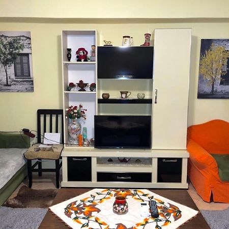 Blue Guesthouse Gjirokastër Dış mekan fotoğraf