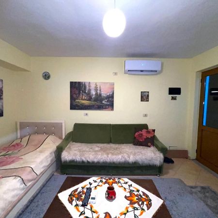 Blue Guesthouse Gjirokastër Dış mekan fotoğraf